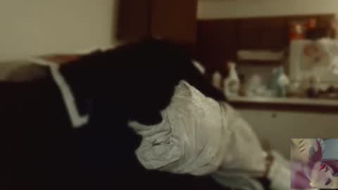 Snapshot of exoticlexi chatting on 09-09-25, 08:08 Exoticlexxii online show from 09-09-25, 08:08