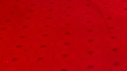 Alana online show from 12-09-24, 12:12