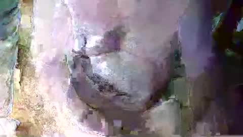 Snapshot of expogent chatting on 04-10-26, 07:24 expogent online show from 04-10-26, 07:24