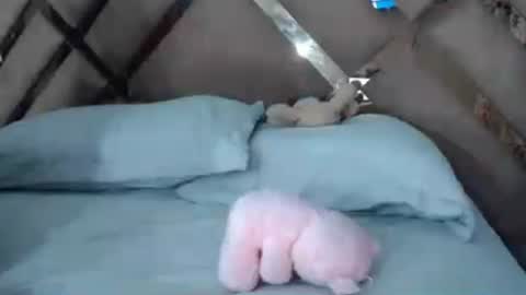 eyshaexotii online show from 06-30-26, 04:24