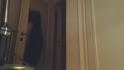 Snapshot of ezcoda chatting on 01-02-25, 01:38 EZCODA online show from 01-02-25, 01:38