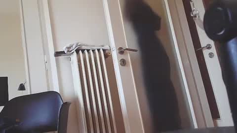 Snapshot of ezcoda chatting on 01-07-25, 10:11 EZCODA online show from 01-07-25, 10:11