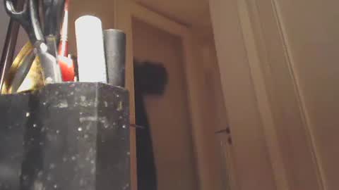 Snapshot of ezcoda chatting on 01-26-25, 10:57 EZCODA online show from 01-26-25, 10:57