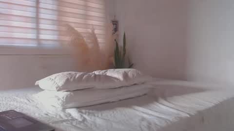 Snapshot of fabrizio_amery chatting on 01-20-25, 09:22 - A N D E R online show from 01-20-25, 09:22