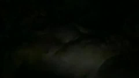 FABX online show from 11-10-25, 10:31