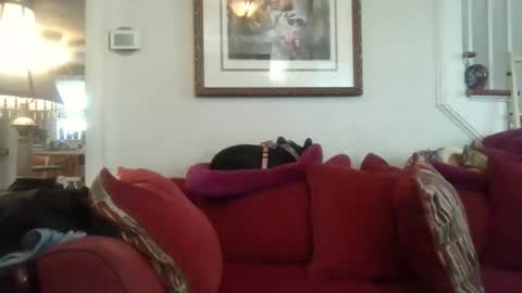 fairmount31 online show from 11-07-25, 07:25