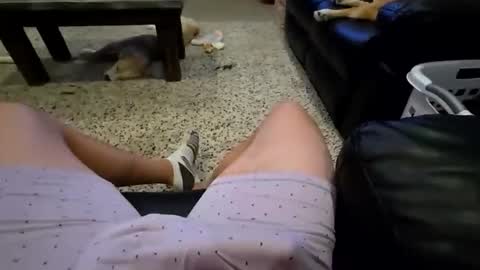 faker1414 online show from 02-02-26, 02:10