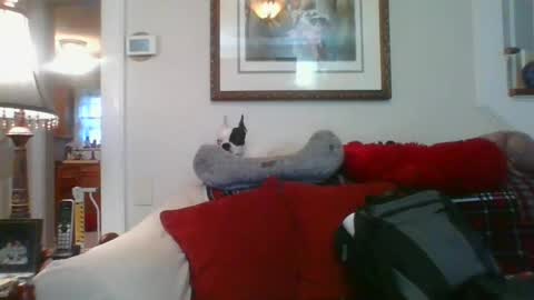 Snapshot of falconbator8 chatting on 01-01-25, 01:27 falconbator8 online show from 01-01-25, 01:27