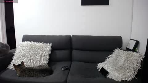 FallGays online show from 02-22-25, 12:16