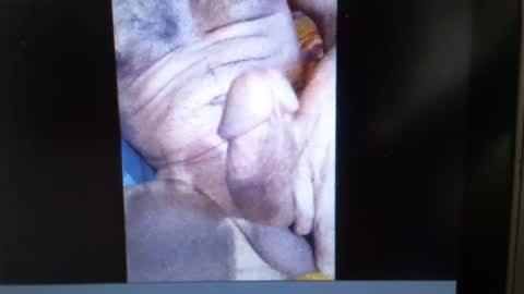 Snapshot of falushp chatting on 01-23-25, 09:50 falushp online show from 01-23-25, 09:50