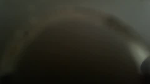 Snapshot of falushp chatting on 02-26-25, 11:52 falushp online show from 02-26-25, 11:52