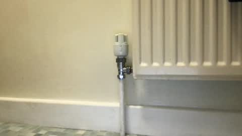 Alex online show from 12-03-24, 09:55