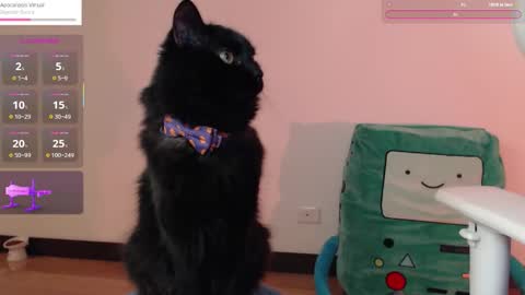 Snapshot of fantasma_gei chatting on 10-25-25, 01:13 Fantasma. online show from 10-25-25, 01:13