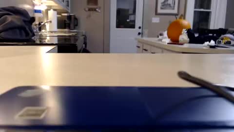 Snapshot of farmgirl__ chatting on 10-11-25, 02:22 FarmGirl and Daddy online show from 10-11-25, 02:22