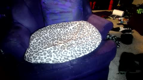 Farrah online show from 10-08-25, 05:16