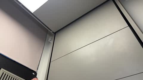 Snapshot of faseremx chatting on 12-03-24, 08:16 Gattino online show from 12-03-24, 08:16