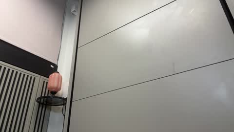 Snapshot of faseremx chatting on 12-13-24, 12:06 Gattino online show from 12-13-24, 12:06