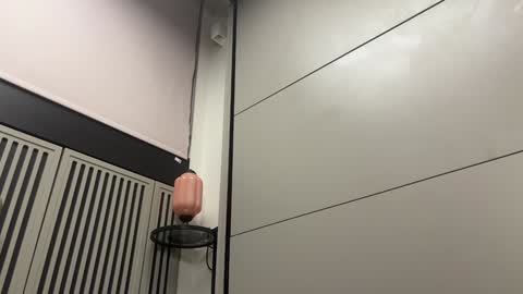 Snapshot of faseremx chatting on 12-20-24, 11:37 Gattino online show from 12-20-24, 11:37