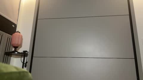 Snapshot of faseremx chatting on 03-11-25, 11:48 Gattino online show from 03-11-25, 11:48