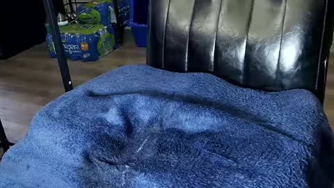 Sarah online show from 02-01-25, 12:51