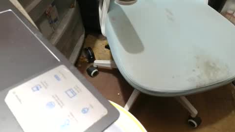 Fred. online show from 11-07-25, 08:53