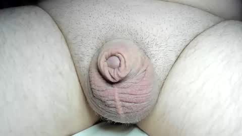 Fatmanscock online show from 12-08-24, 04:04