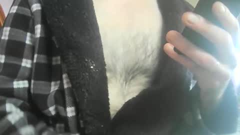 feardubh online show from 02-20-26, 11:43