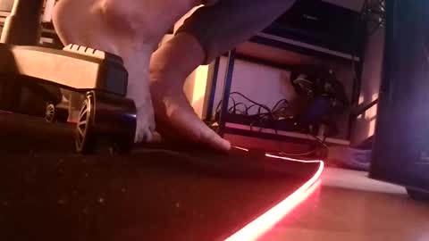 Snapshot of feetishman91 chatting on 03-27-26, 06:18 feetishman91 online show from 03-27-26, 06:18