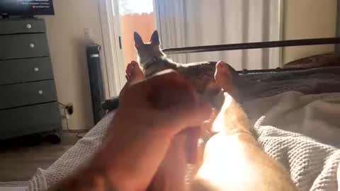 Snapshot of feetomines chatting on 10-18-25, 03:57 FEETOMINES online show from 10-18-25, 03:57