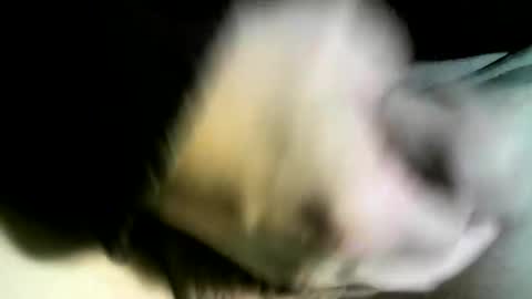 felicaste online show from 02-09-25, 03:01