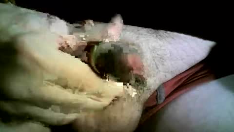 felicaste online show from 11-26-25, 08:43