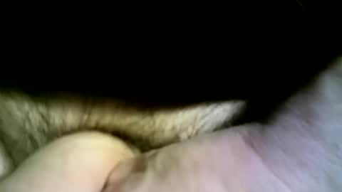 felicaste online show from 04-13-26, 04:34