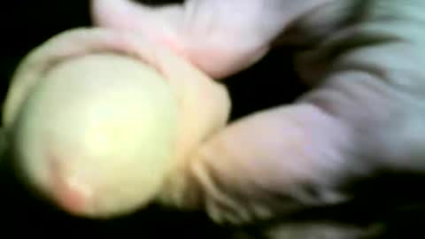 felicaste online show from 04-17-26, 09:18