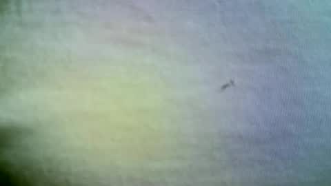 felicaste online show from 04-21-26, 11:38