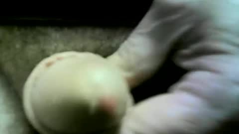 Snapshot of felicaste chatting on 05-27-26, 04:15 felicaste online show from 05-27-26, 04:15