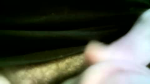 Snapshot of felicaste chatting on 07-22-26, 04:32 felicaste online show from 07-22-26, 04:32