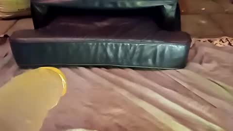 femboy710cum online show from 12-21-24, 11:24