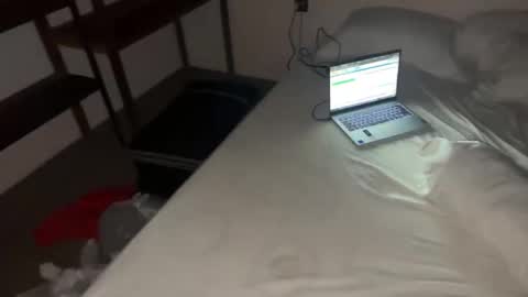 Dani online show from 11-12-25, 08:30