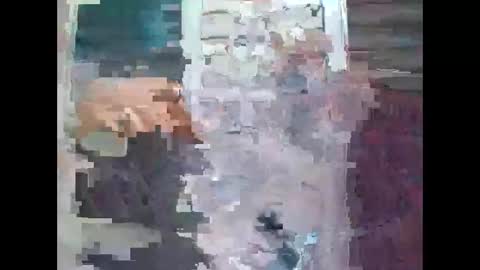 Snapshot of feog197475512 chatting on 11-08-25, 09:13 feog197475512 online show from 11-08-25, 09:13