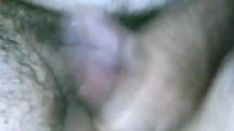 fer_2197 online show from 12-30-24, 04:19