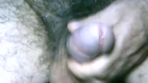 fer_2197 online show from 01-01-25, 04:29