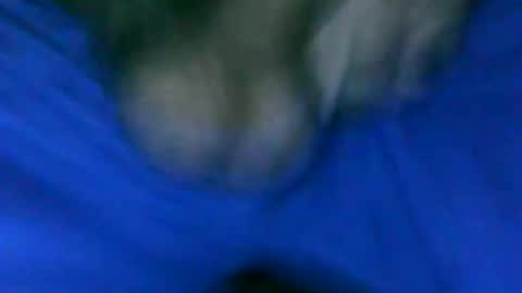 fer_2197 online show from 01-23-25, 01:24