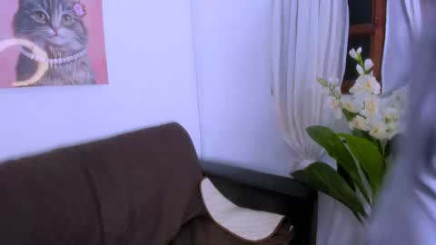 Fernanda online show from 11-08-25, 08:29