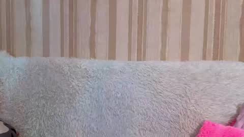 fieryy_foxy online show from 08-04-26, 07:33