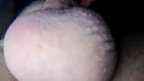 Snapshot of figonik chatting on 02-11-25, 09:46 Nick online show from 02-11-25, 09:46