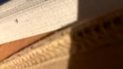 Fiksok online show from 04-14-26, 01:00