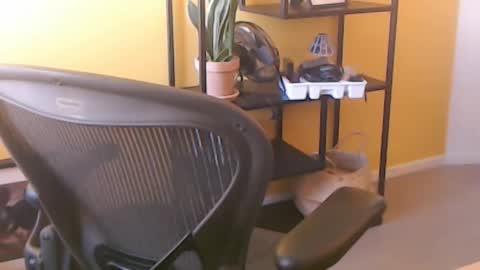Snapshot of filip907 chatting on 09-25-25, 11:25 filip907 online show from 09-25-25, 11:25