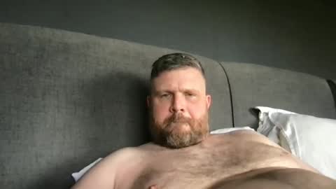 Snapshot of fin_dom_bear chatting on 05-23-26, 04:11 fin bear dom online show from 05-23-26, 04:11