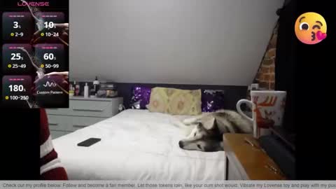 Snapshot of fionna_fineas chatting on 03-30-26, 01:17 Fionna online show from 03-30-26, 01:17