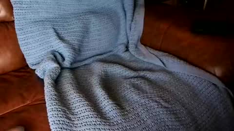 Snapshot of fitstevie1 chatting on 01-16-25, 11:27 fitstevie1 online show from 01-16-25, 11:27